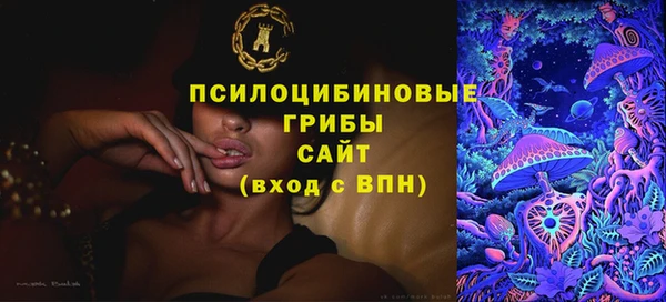 МДПВ Армянск