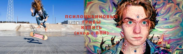 ПСИЛОЦИБИНОВЫЕ ГРИБЫ Арсеньев