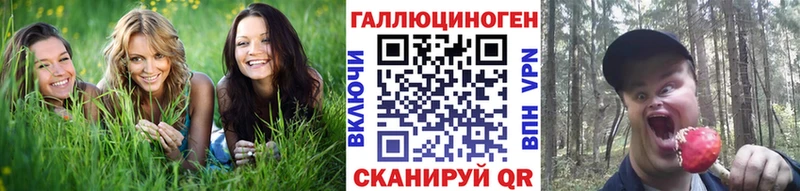 магазин продажи наркотиков  Нарткала  Псилоцибиновые грибы GOLDEN TEACHER 